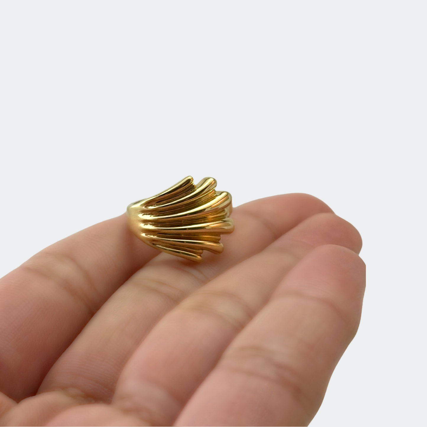 ANILLO MÓNICA