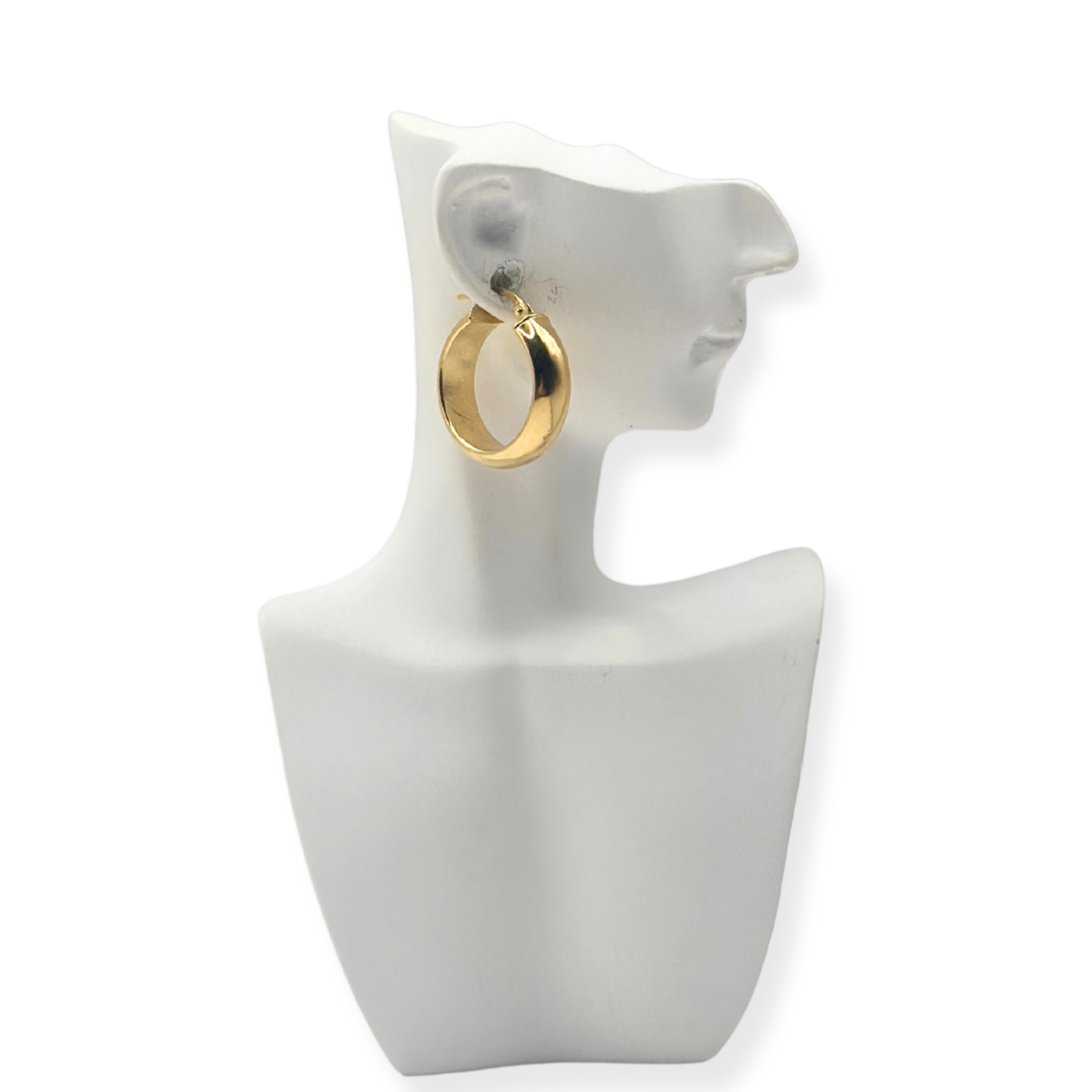 PENDIENTES MARIAN