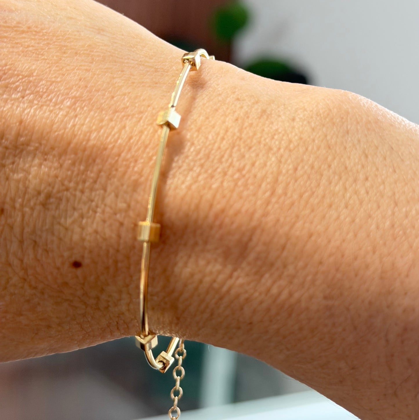 PULSERA RÍGIDA DE ANILLO