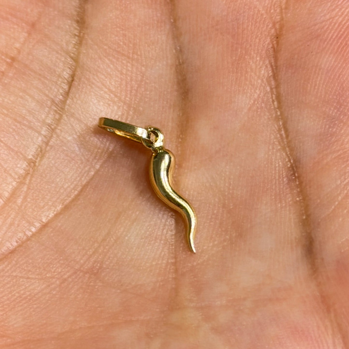 SMALL GOLD HORN