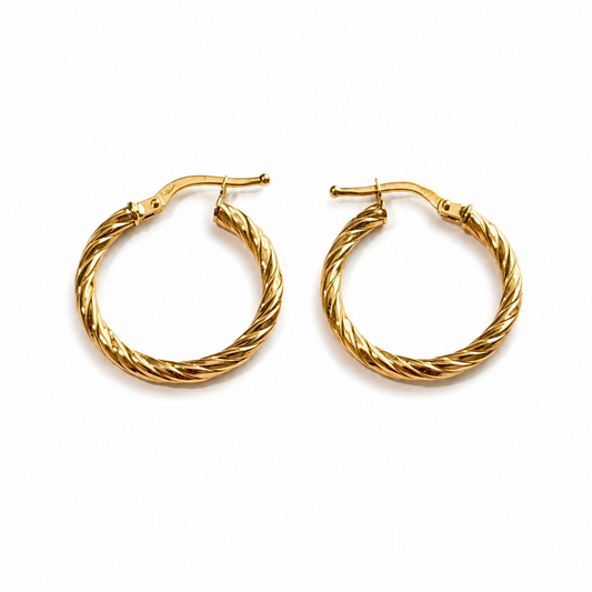 PENDIENTES DE ARO NIA