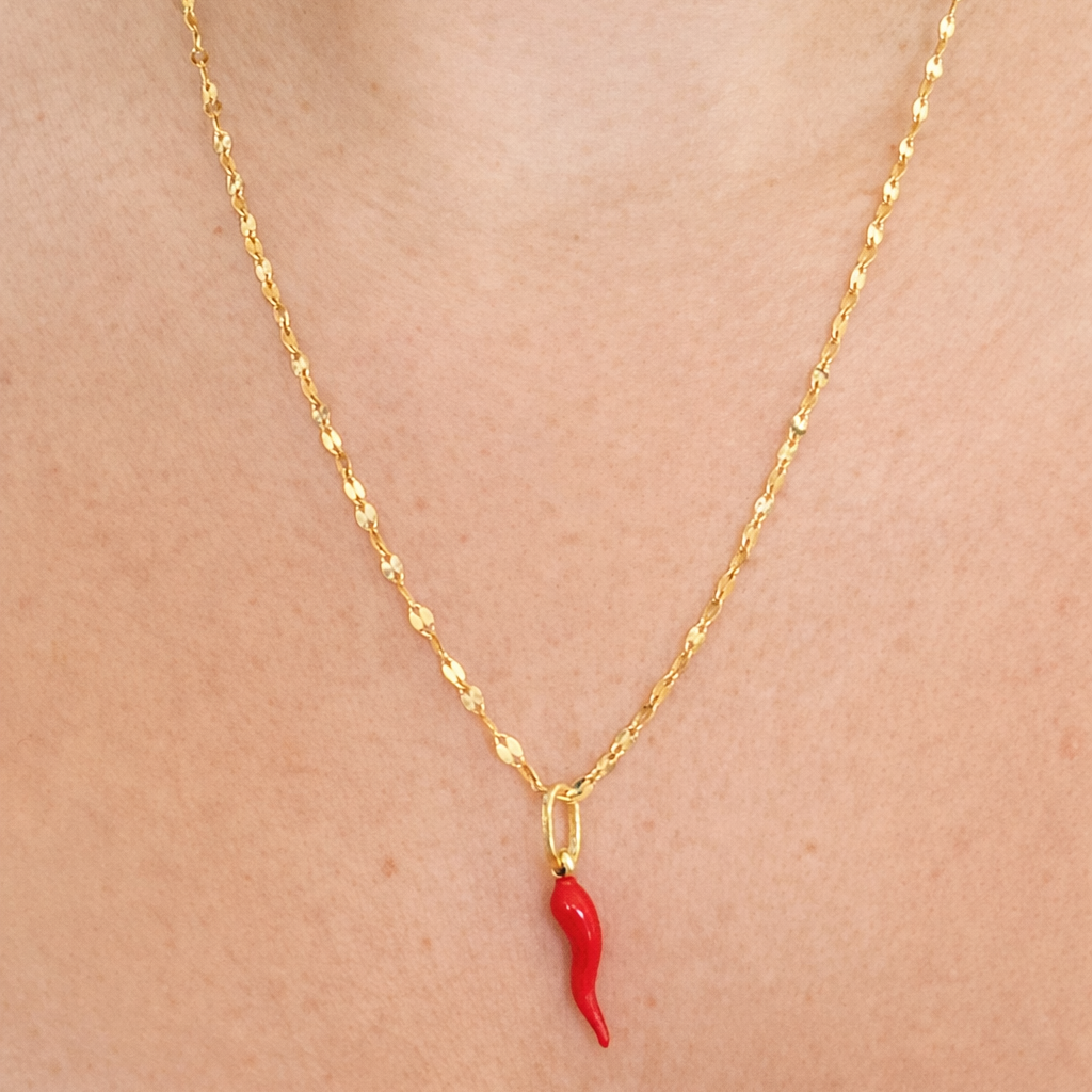 MIRROR LINK CHAIN WITH HORN PENDANT