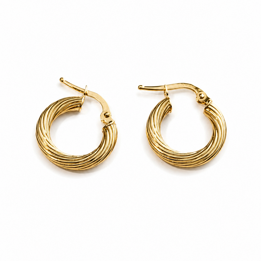 PENDIENTES DE ARO ROA