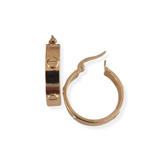 CT EARRINGS