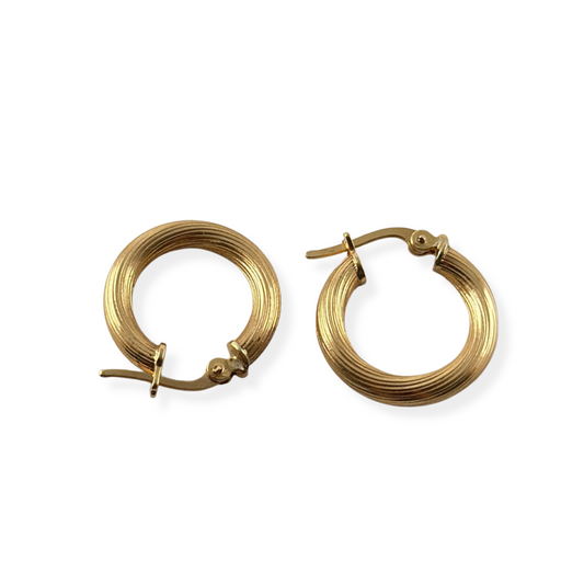 EARRINGS BONI