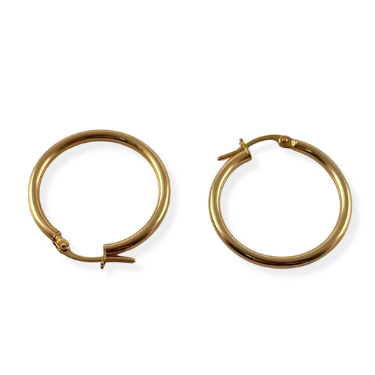 EARRINGS FANNY