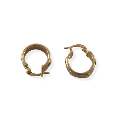 EARRINGS CT