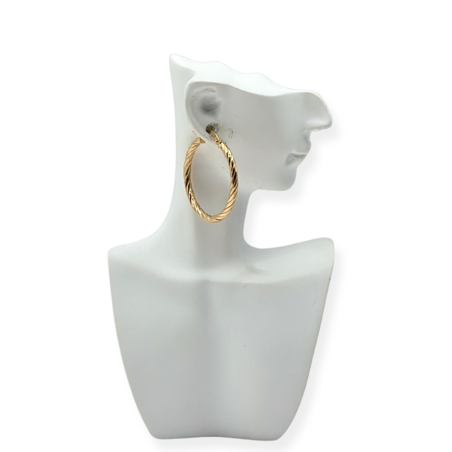 PENDIENTES DIANI