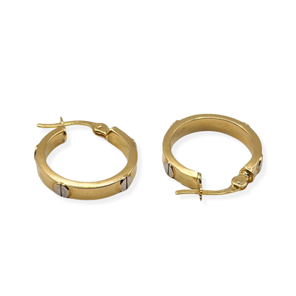 CT EARRINGS
