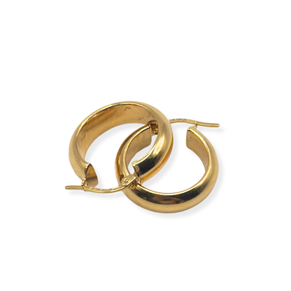 PENDIENTES MARIAN