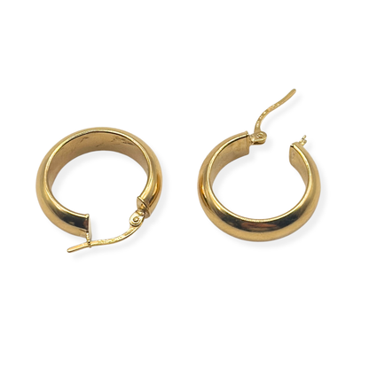 PENDIENTES MARIAN