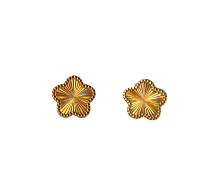PENDIENTES DE PIEDRA DE CORAZÓN