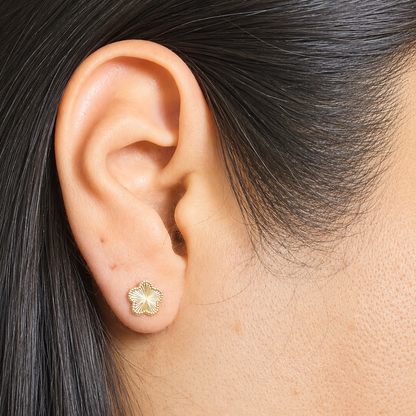 PENDIENTES DE PIEDRA DE CORAZÓN