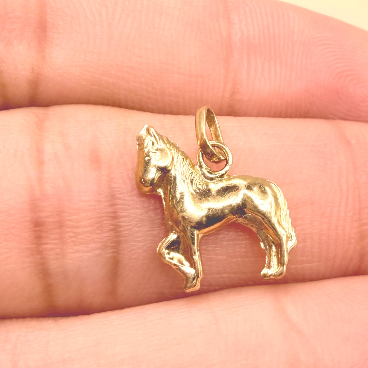 COLGANTE DE CABALLO