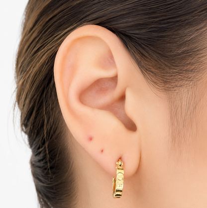 PENDIENTES CARLY