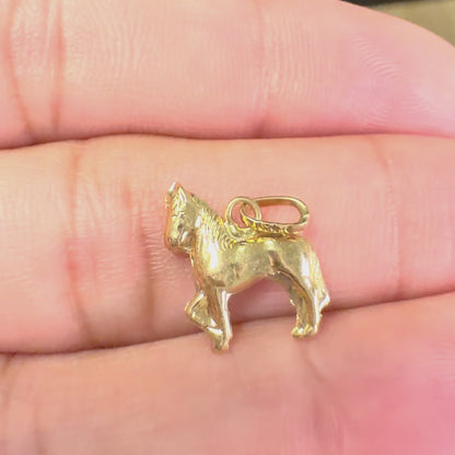 COLGANTE DE CABALLO